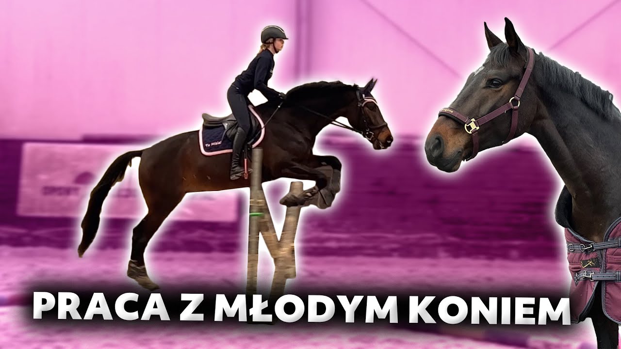 CZY ŻAŁUJĘ KUPNA MŁODEGO KONIA? 😳🐴| Trening skokowy, Małe k&oacute;zki w stajni 🐐❤️