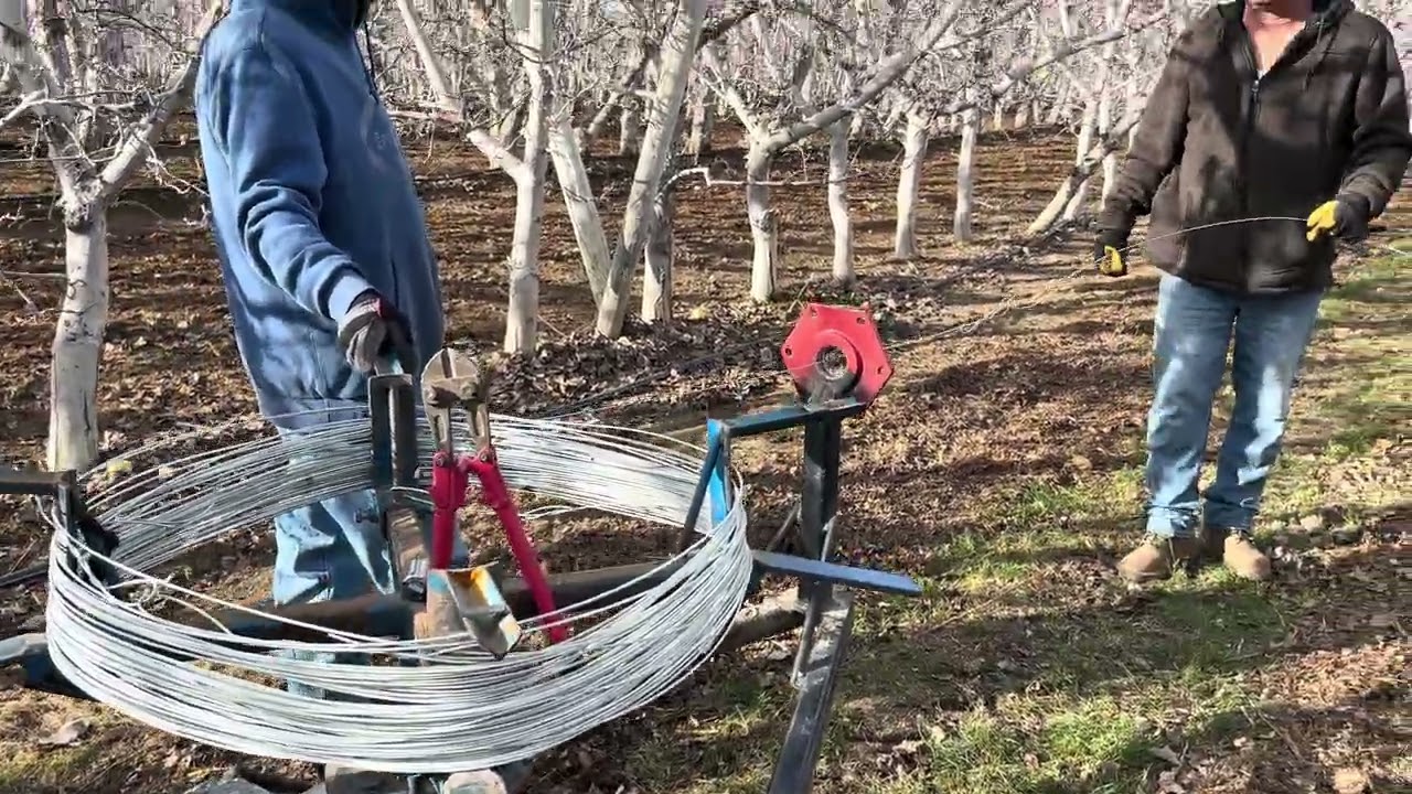 Un día muy bonito para trabajar 
