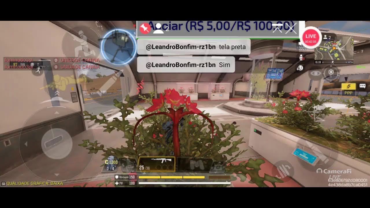 live de COD para comprar Bitcoin vem pra live