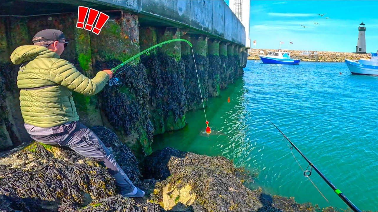 On pêche dans les structures de ce port pour capturer un maximum de poissons !!!