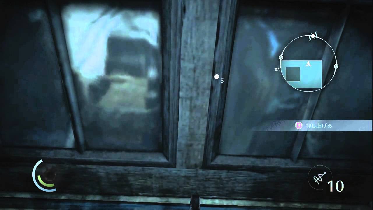 シーフ 収集品 永遠の花 Thief Collectibles The Flowers Eternal