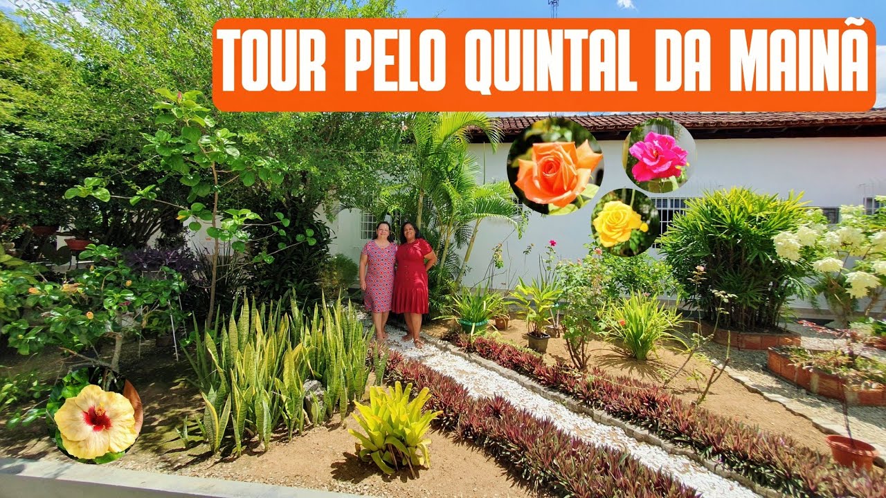 TOUR PELO QUINTAL DE MAINÃ: UM JARDIM COM ROSAS, ORQUÍDEAS, CROTONS, ALOCACIAS, MUSSAENDAS E MAIS