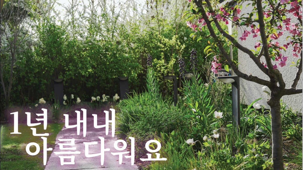 🌷사계절 내내 아름다운 화단의 비밀 (월별 꽃 개화표 드려요🎁)