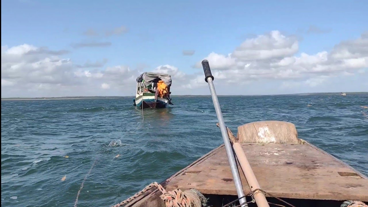 ACAMPAMENTO E PESCARIA DE PEIXE-PEDRA NA ILHA DE CURUPU. RAPOSA.