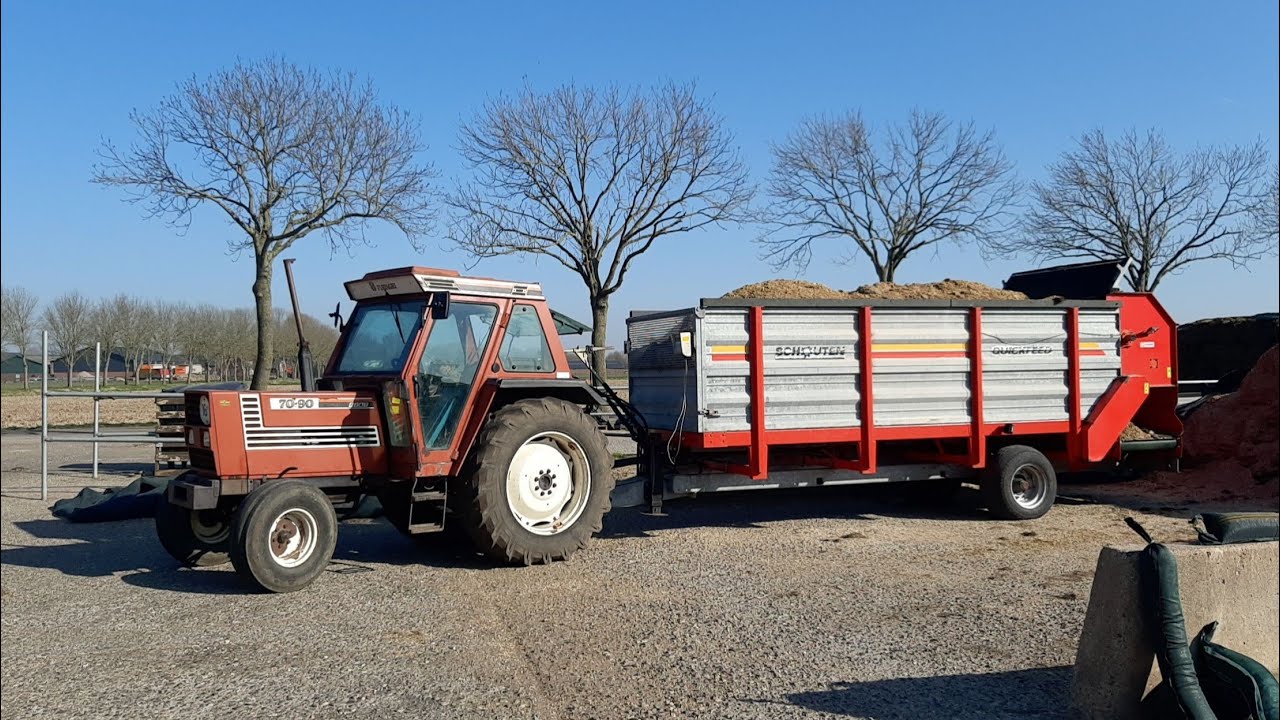 Melkvee voeren met Fiat 70-90 en Giant G4500 | POV |