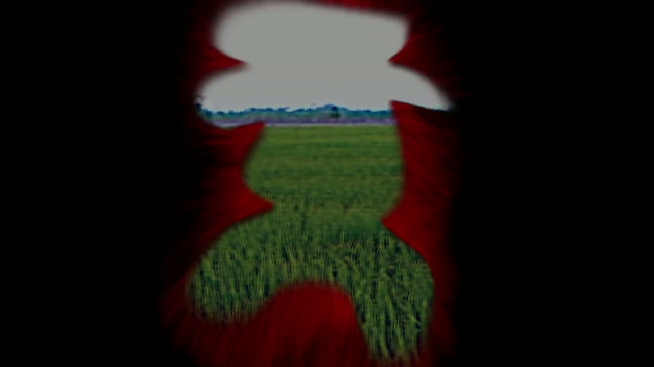 Whishing upon greener pastures