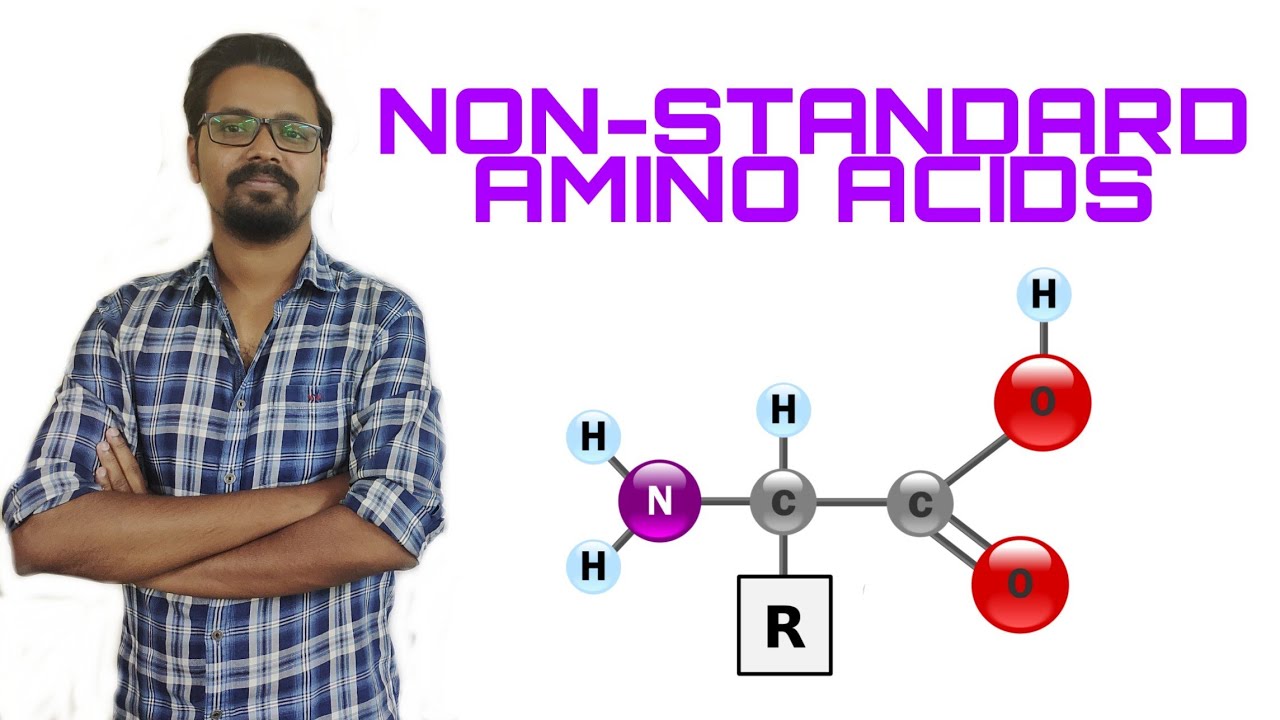 Amino Acids Types: Non-standard | Includes Selenocysteine and Pyrrolysine