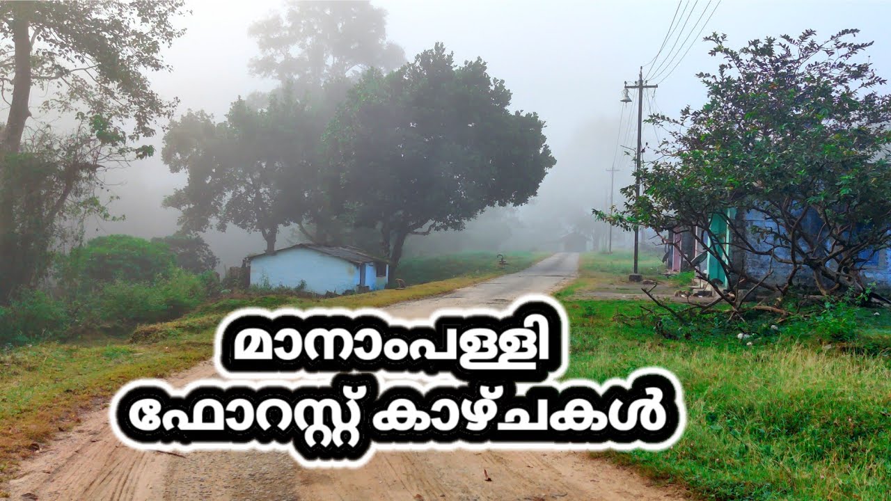 മാനാംപള്ളി ഫോറസ്റ്റ് കാഴ്ചകൾ | Manambolly Forest Guest House| Unexplored Shola Forest| Valparai