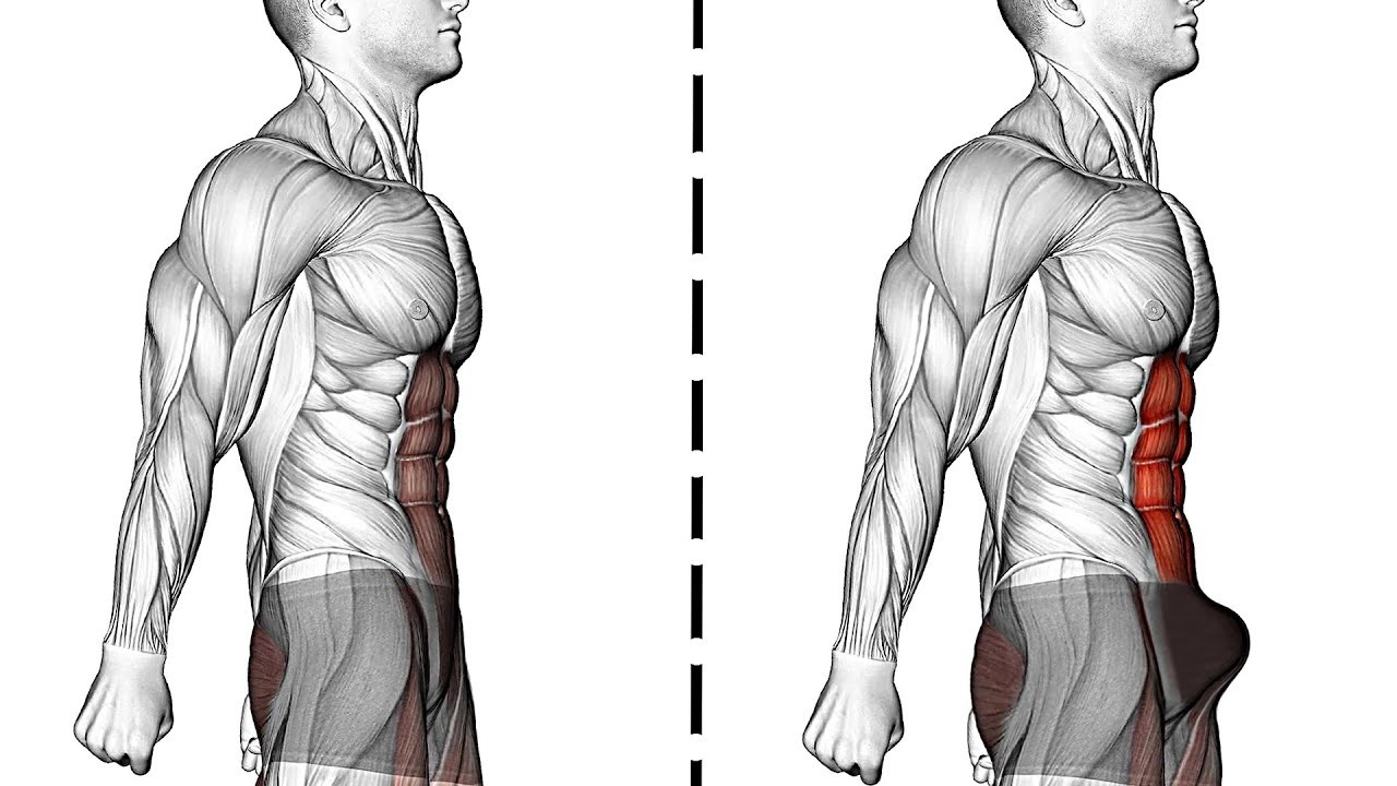 The TOP 10 Strongest! Hidden Exercises You Should Do Every Day