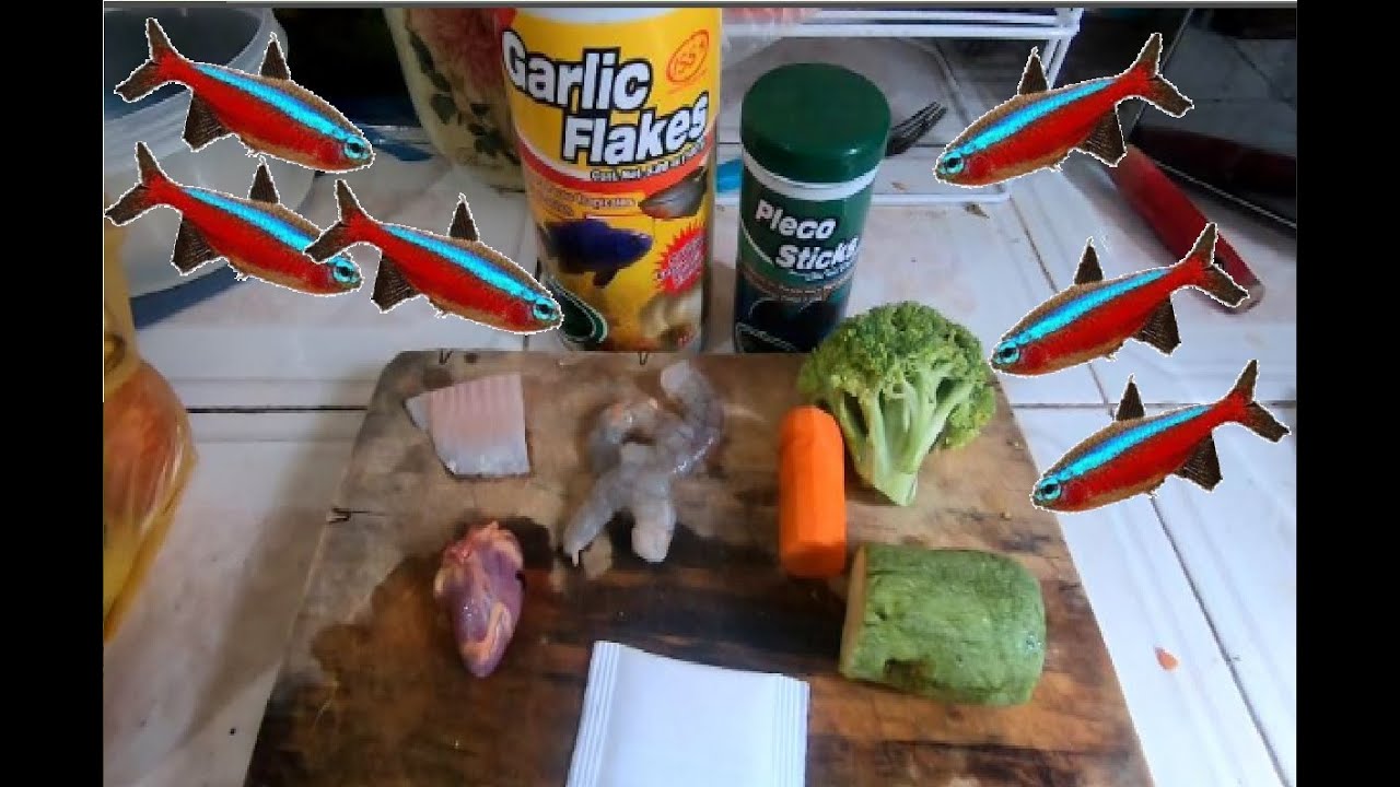Receta Papilla Casera para tus Peces (FACIL)