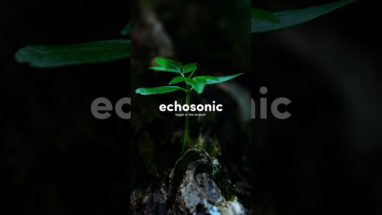 Return to Yourself | Gentle Frequencies for Coming Home Within