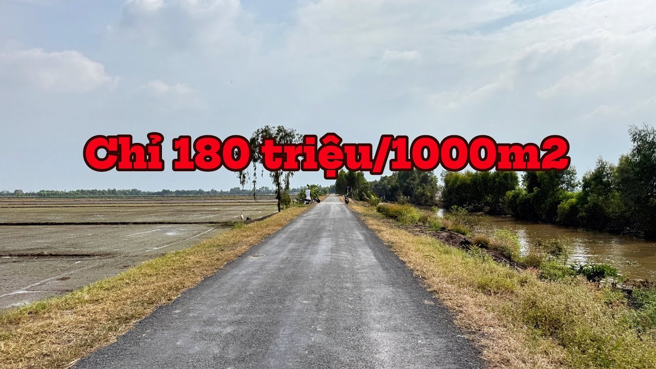 bán đất DT26.000m2 đất giá 180 triệu /1000m2 