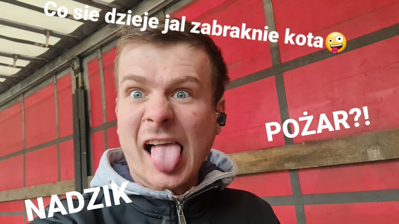 Z kotem po europie. POŻAR!!! SZYBKA TRASA PO POLSCE. bez koteła 😭