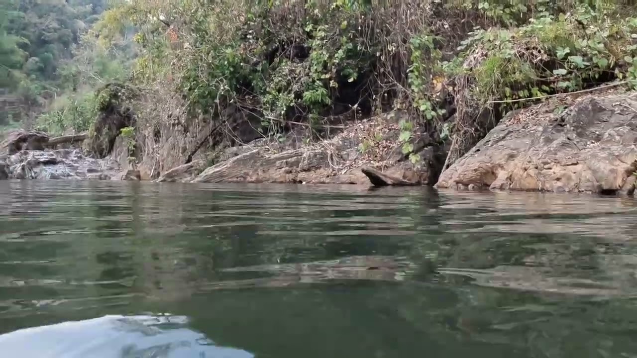 Kayah Phu - Went Swimming 2023
