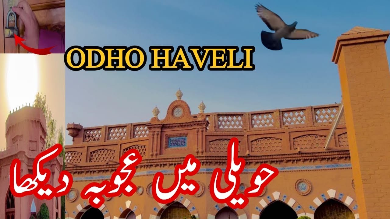 Odho Haveli || Tajo Dero Me Aisa Kya Daikha 20th Century Ka Ajoba | VLOG