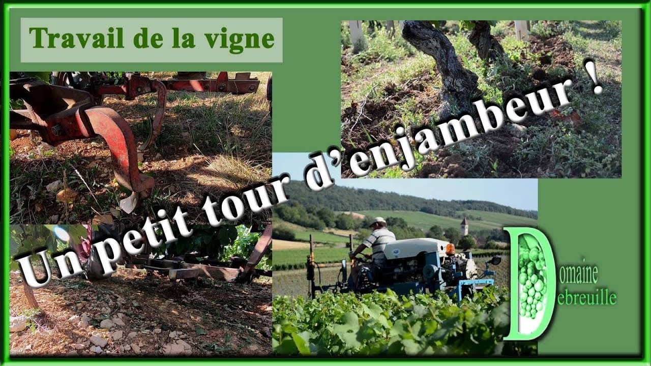 Travail du sol en viticulture