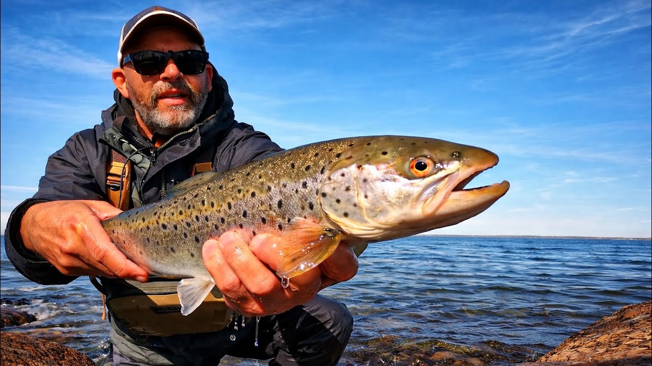 Hav&oslash;rredfiskeri - ☀️Sol og hav&oslash;rreder🐟