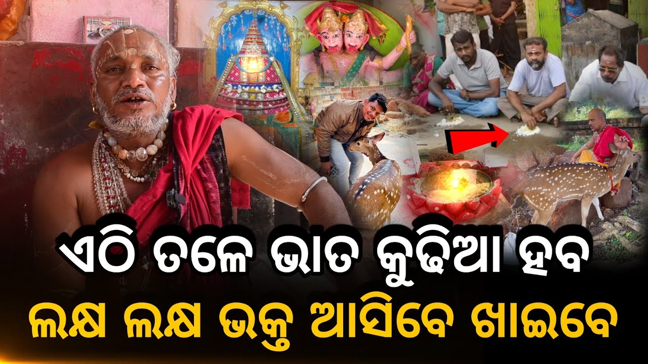 Odia khabar/ Odia viral/ Odia viral video/ Odia Samachar/ Benupada Matha Gadibramha/ B News Odisha