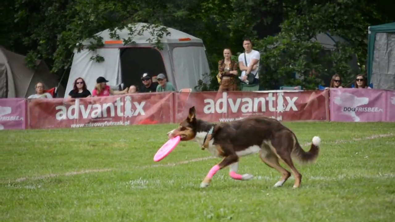 Amelia i Nuvi - LP Wrocław 2019