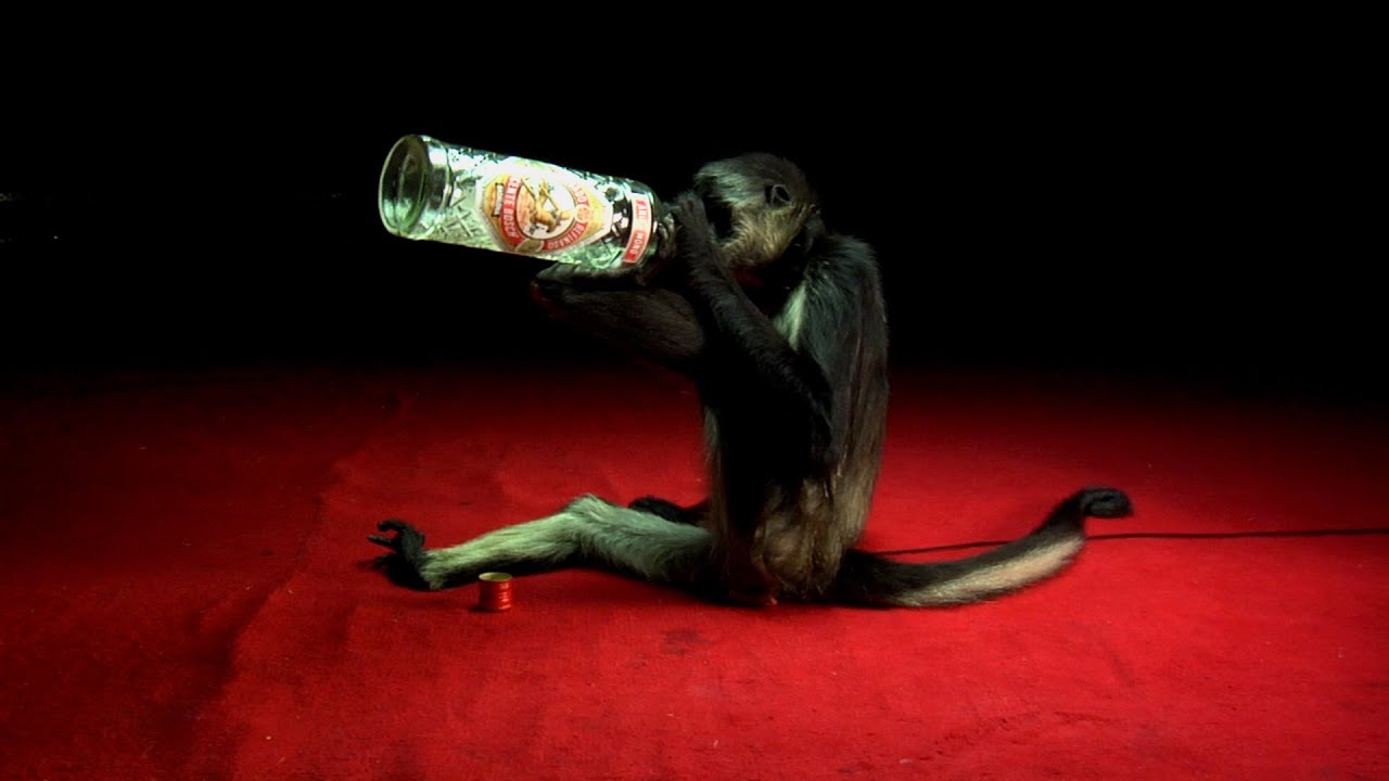 El Informe Toledo (2009)  Dir. Albino Álvarez