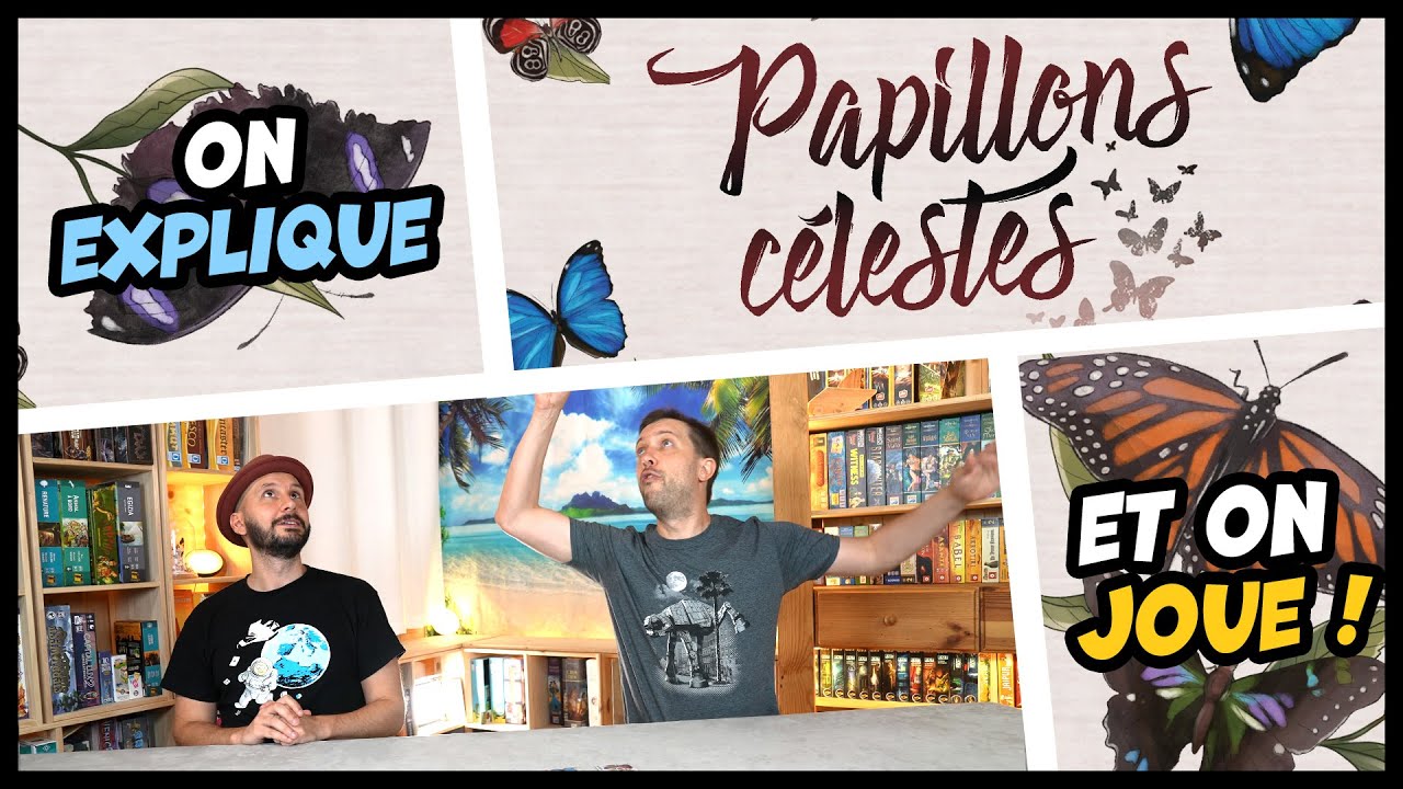 On explique et on joue à Papillons célestes