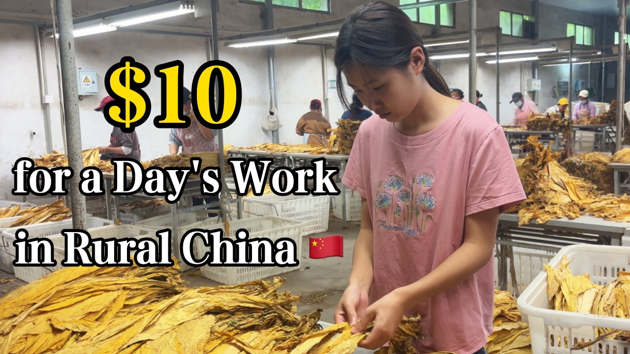 A Rural Chinese 🇨🇳 Girl&rsquo;s Day Job: I Earn Only 10 Dollars a Day