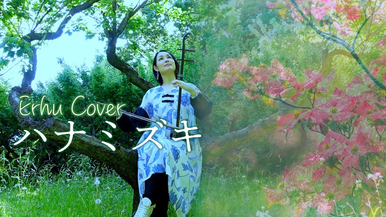 一青窈｜ハナミズキ Hanamizuki / Erhu Cover
