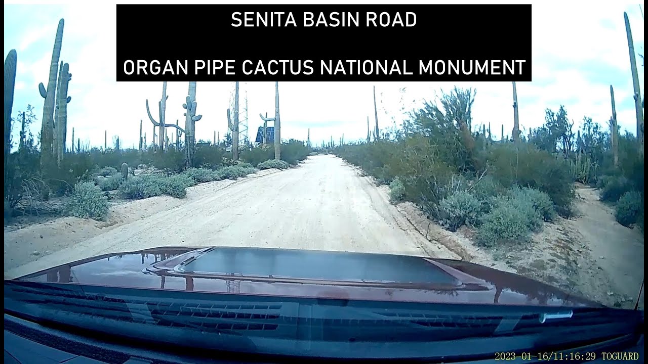 Scenic Drive to Senita Basin from Quitobaquito Springs.