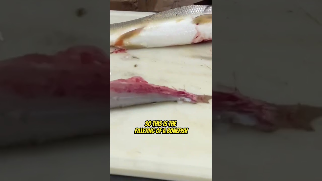 Как разделать костлявую рыбу с капитаном Элом Клоуэрсом!