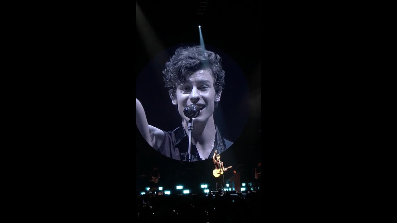 Shawn Mendes - Mutual (live 2019)