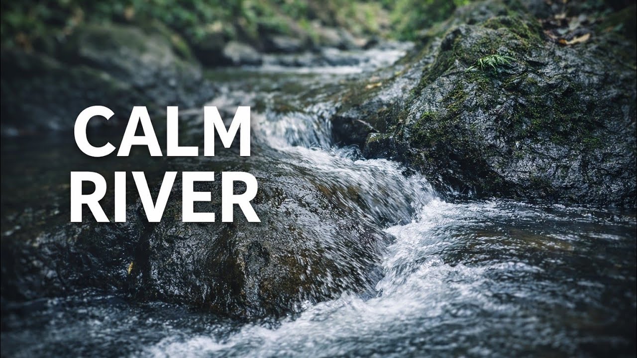 Gentle Forest Stream Sounds for Deep Sleep | Relaxing Nature Water
