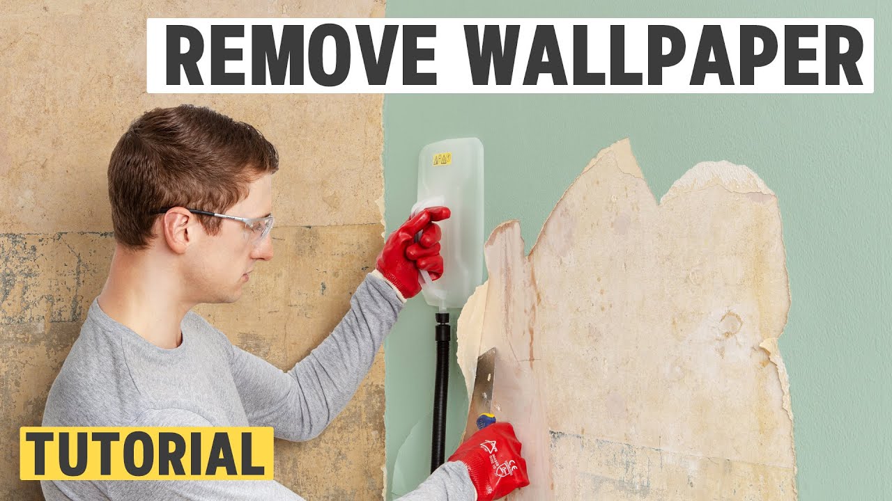 Effortlessly remove old wallpaper with steam 💨 Tutorial | WAGNER