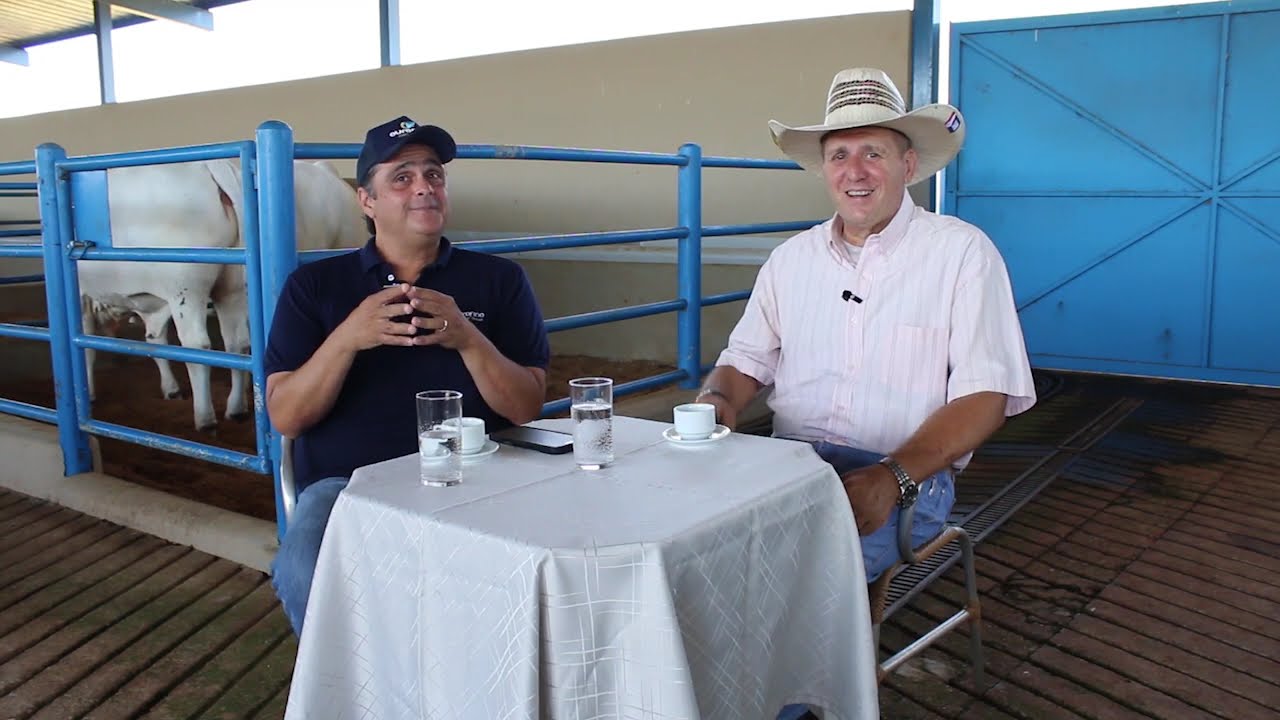 GADO DE ELITE FAZENDA OURO FINO, COM RICARDO GRIPPA NO LAÇOS DA TERRA