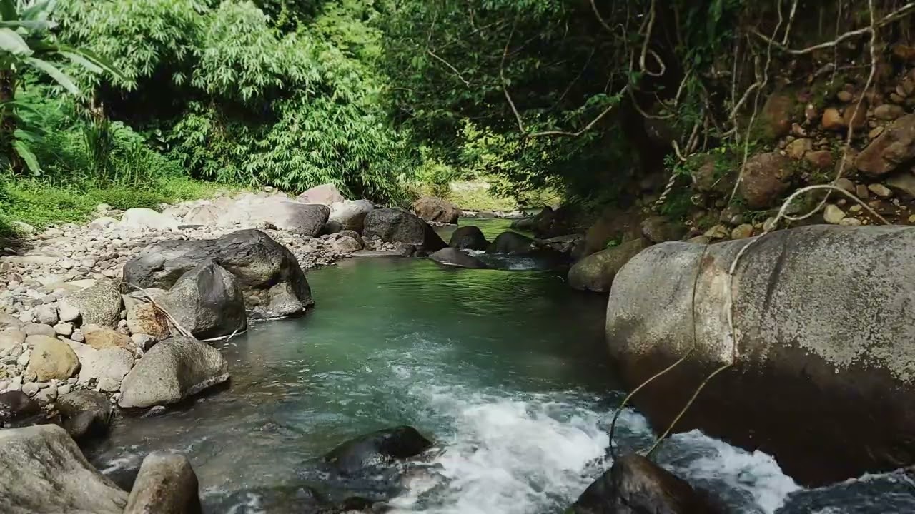 Wander Into A Secluded Jungle River For Calm Study And Background Ambience