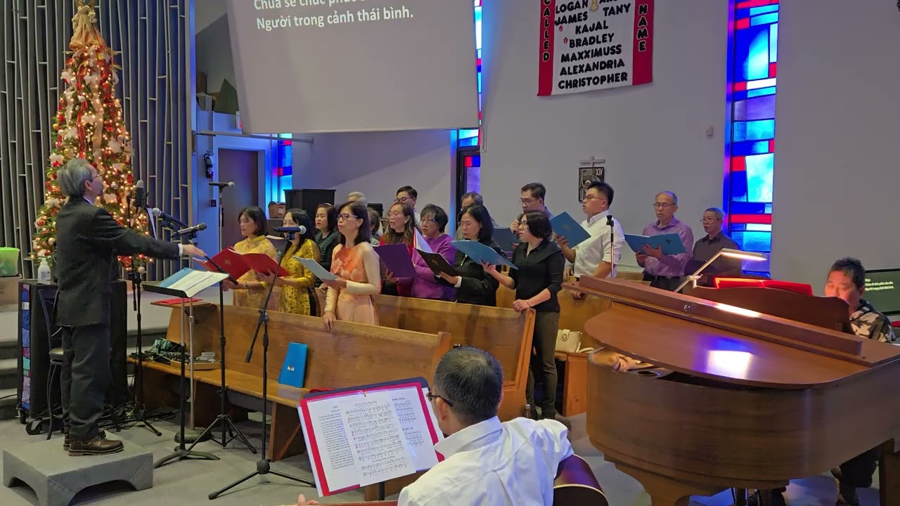 Đáp ca & Alleluia 11/1/2016