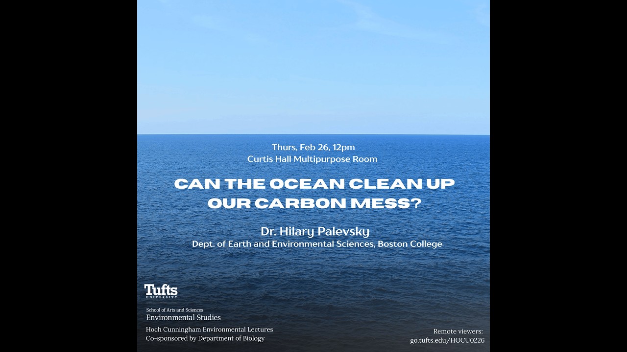 Can the Ocean Clean Up Our Carbon Mess?