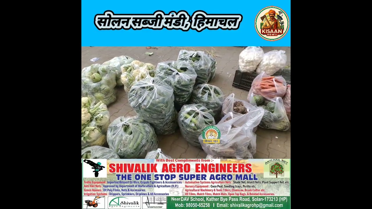 2 दिसंबर 2025।। सोलन मंडी अपडेट।। जानिए थोक व परचून भाव।। 