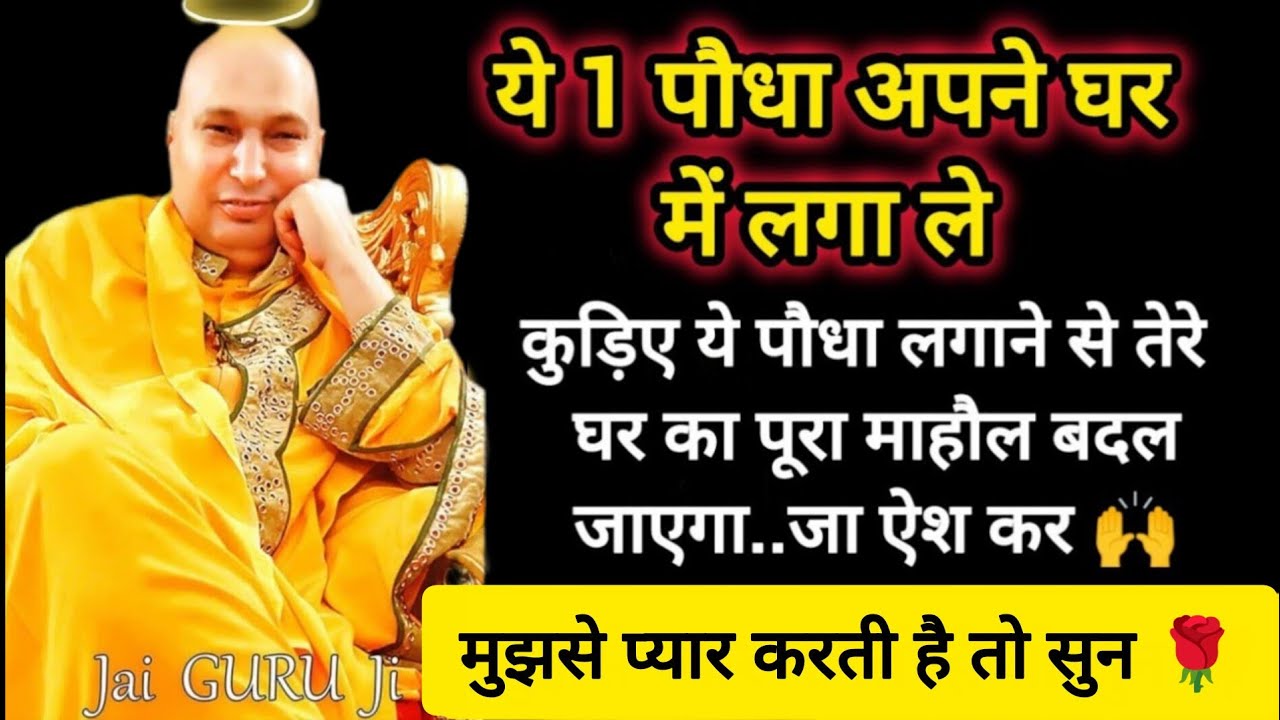 #652 Guruji Satsang | ये 1 पौधा घर में लगा ले फिर देख नज़ारे | Guruji Satsang with Gaurav Prachi