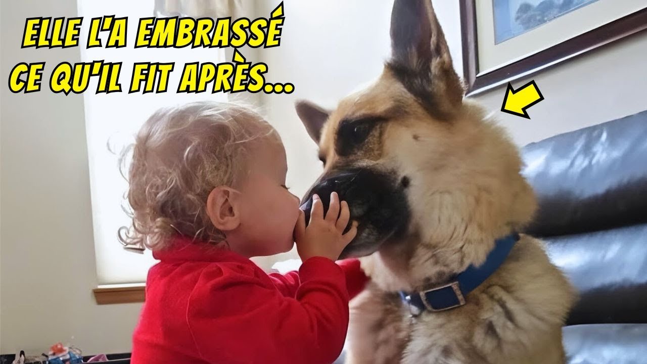 La petite fille embrassa le chien... Ce qu'il fit ensuite était stupéfiant !