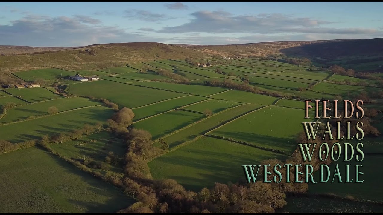 Fields, Woods and Walls at Westerdale