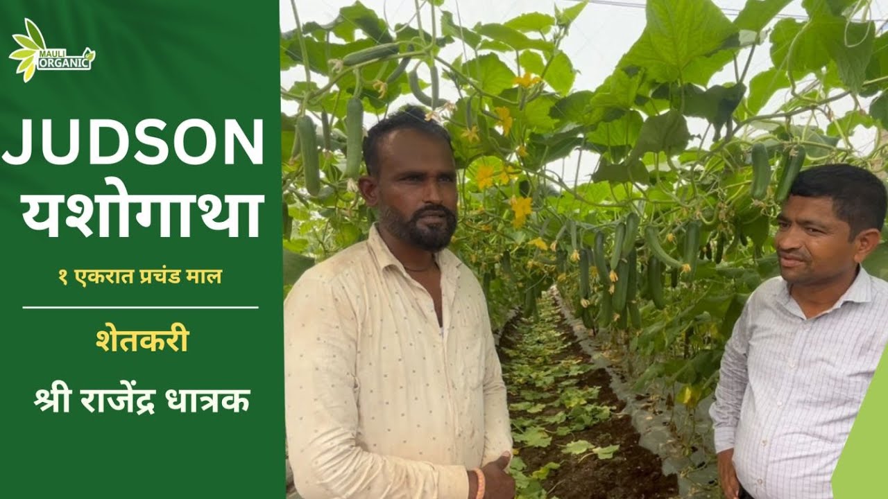 Judson Variety Treatment By Mauli Organic Pvt. Ltd. Nashik