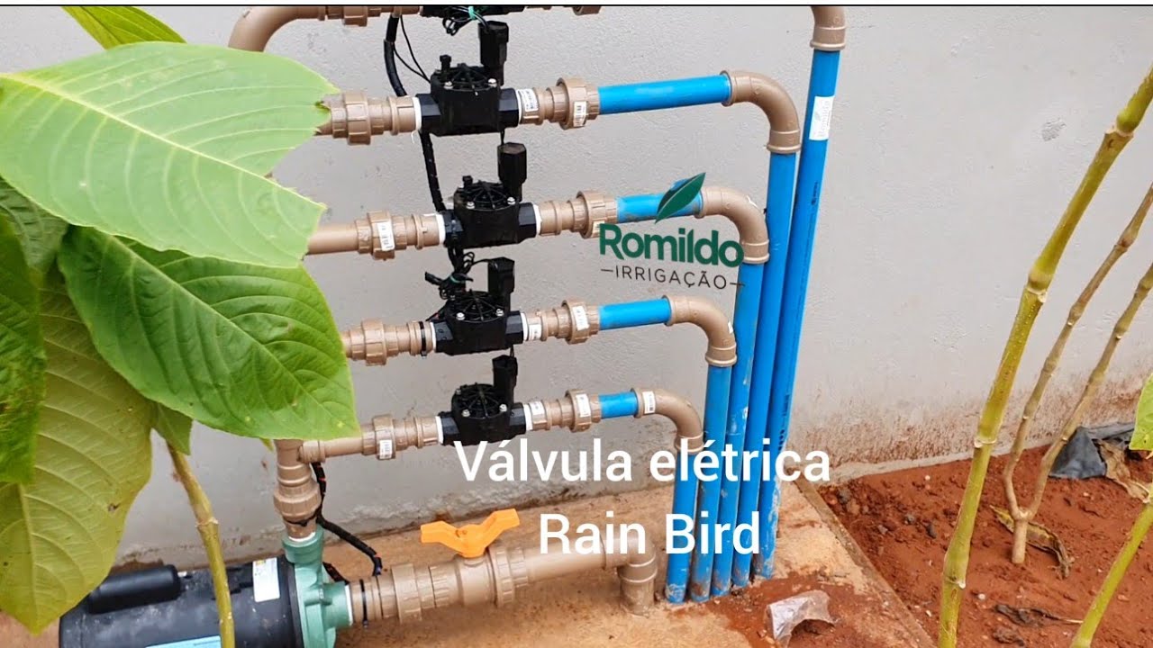 Minha rotina de trabalho/Rain Bird/Instalação sistema Irrigação automatizado/automated irrigation