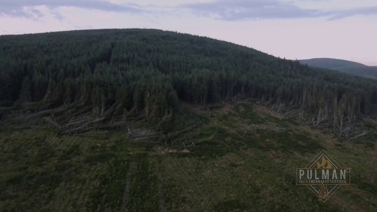 Torpantau June 2020