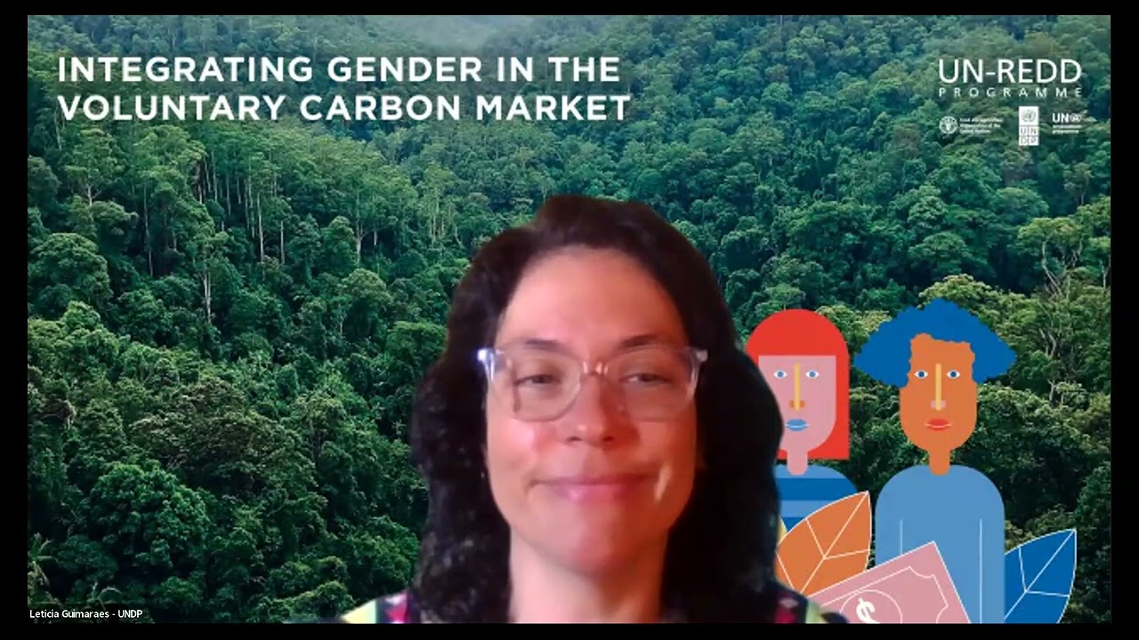 UN-REDD Online Dialogue on How to Improve Gender Considerations within the VCM