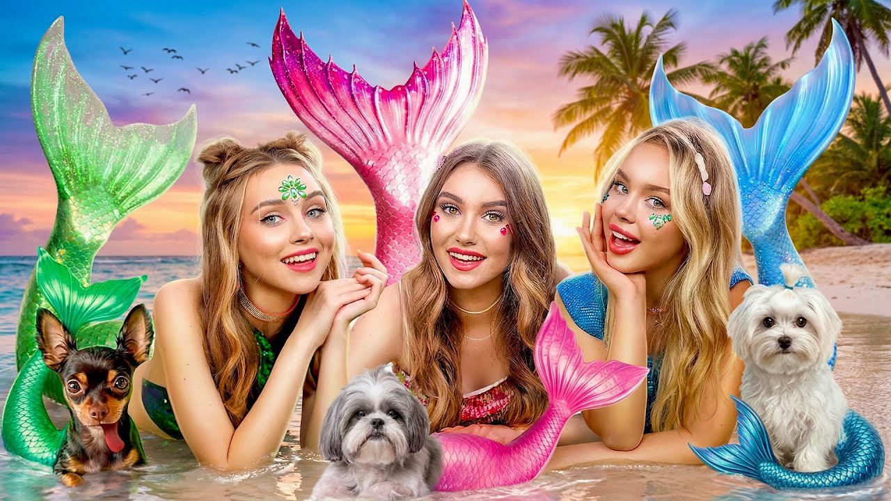 My Dog Became a Mermaid! Mermaid Dogs in Real Life
