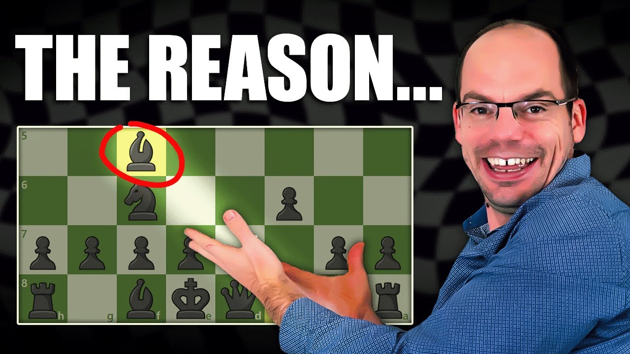 Why is The Slav The Best Beginner Opening vs 1.d4