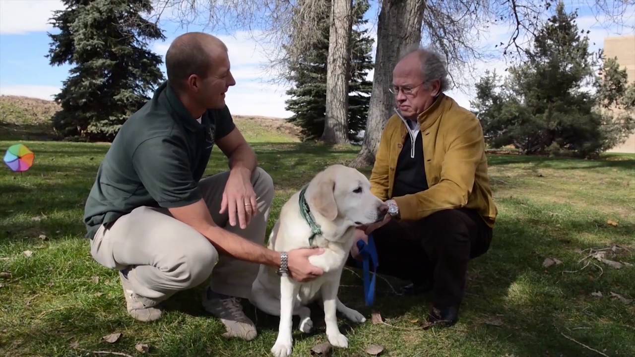 Putting Paws on the Right Path: CSU's Small Animal Sports Medicine and Rehabilitation