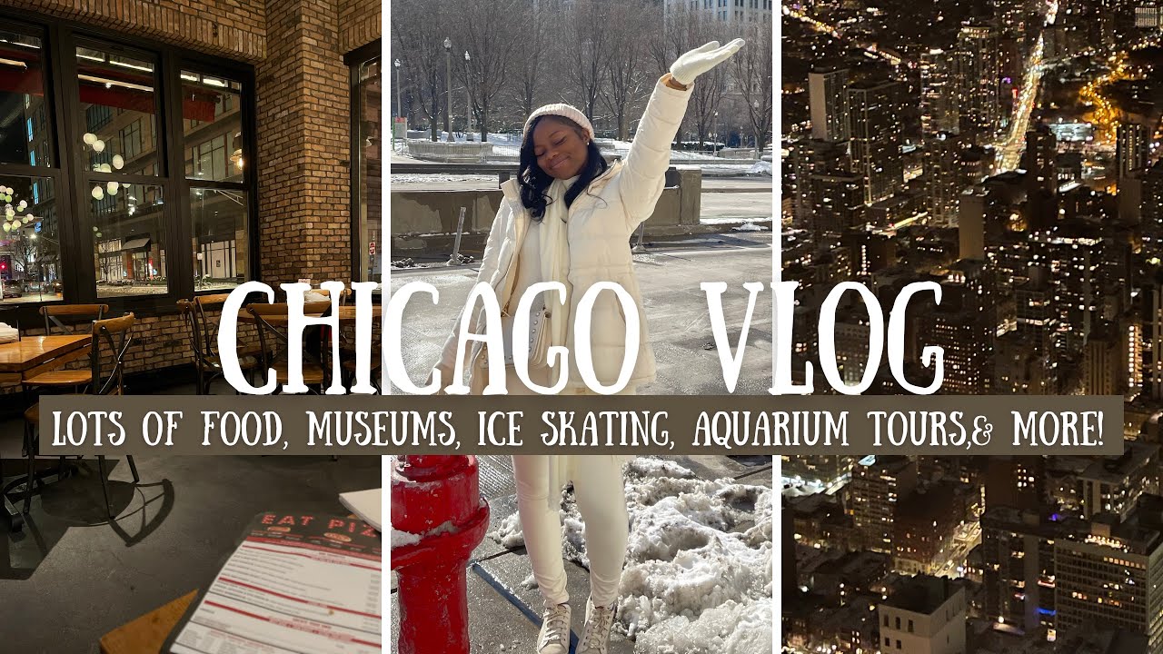 Chicago Travel Vlog| First Time Seeing Snow, Eating Lots Of Food, Museum Tours, Ice Skating, & More!