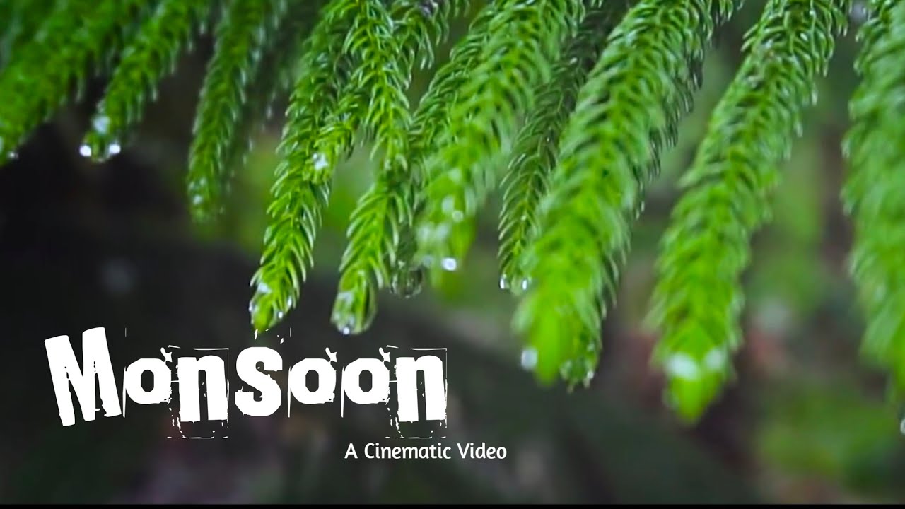 || Chasing The Monsoon || A cinematic Video || Monsoon ||
