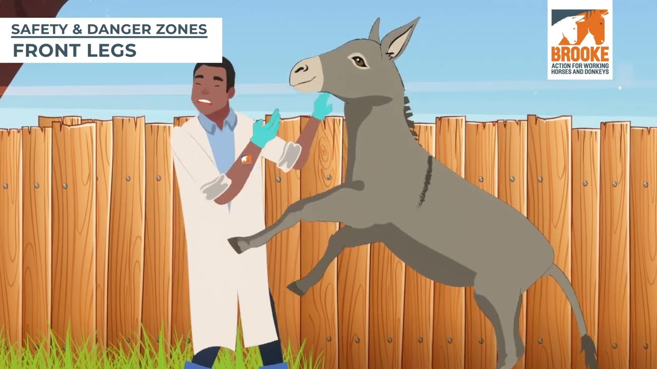 Handling and Restraint: Animation Video